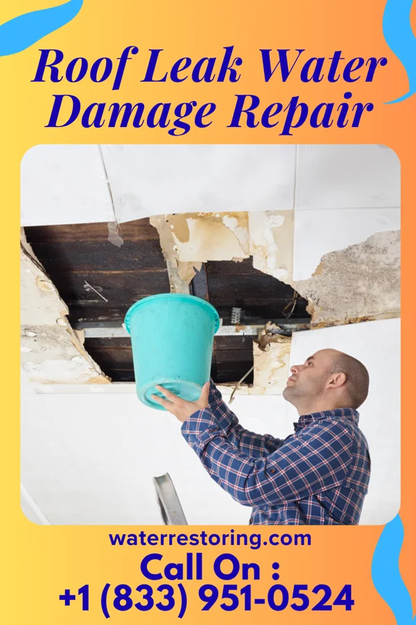 Roof Leak Water Damage Repair in Paradise, UT